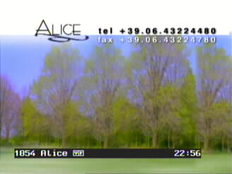 alice.jpg (11344 Byte)