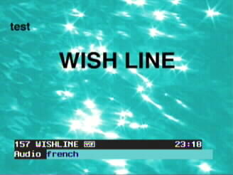 wish.jpg (13351 Byte)